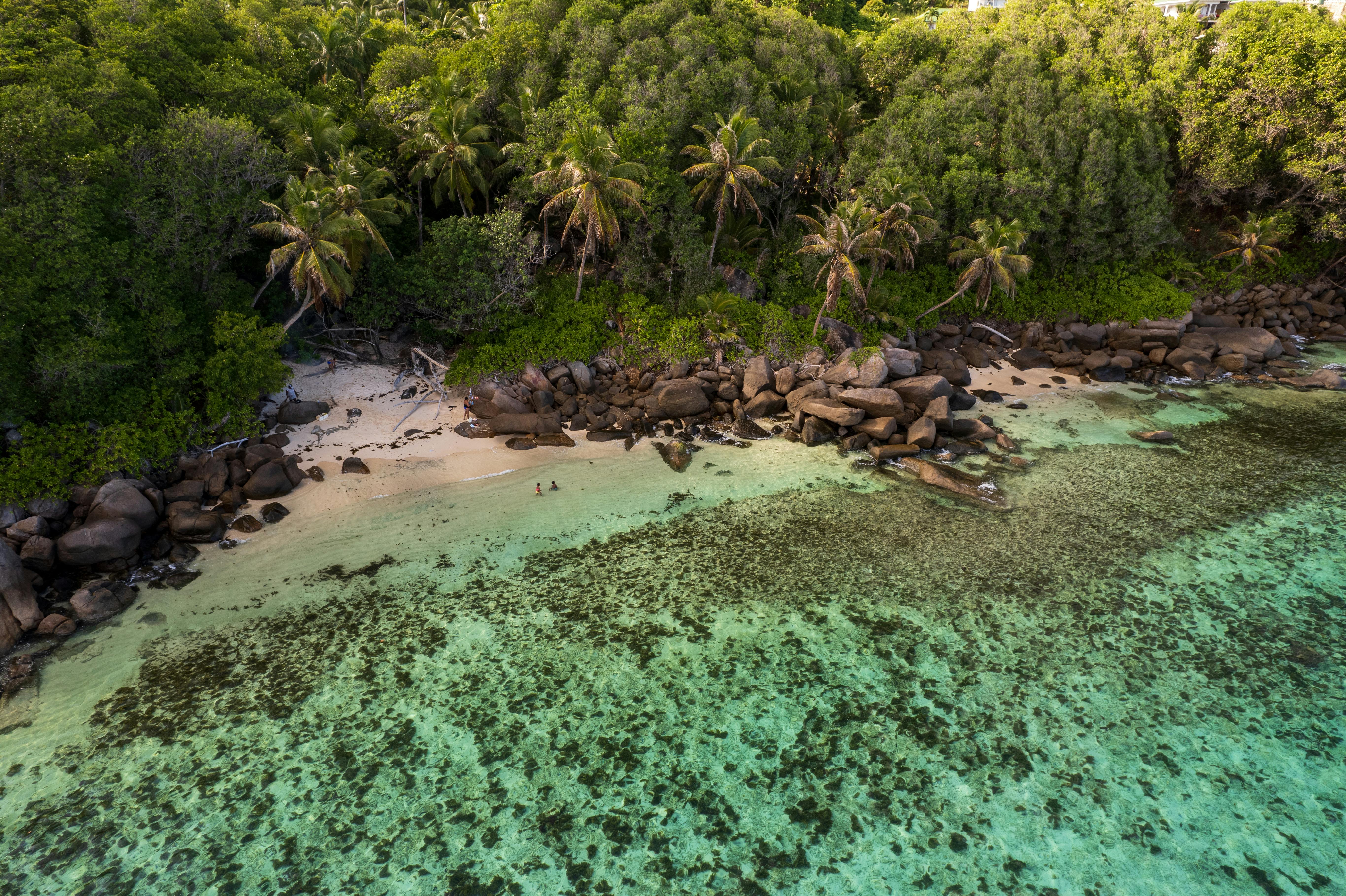 Seychelles Beach